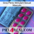 Gros Pénis Stimulant Sexuel Masculin 35